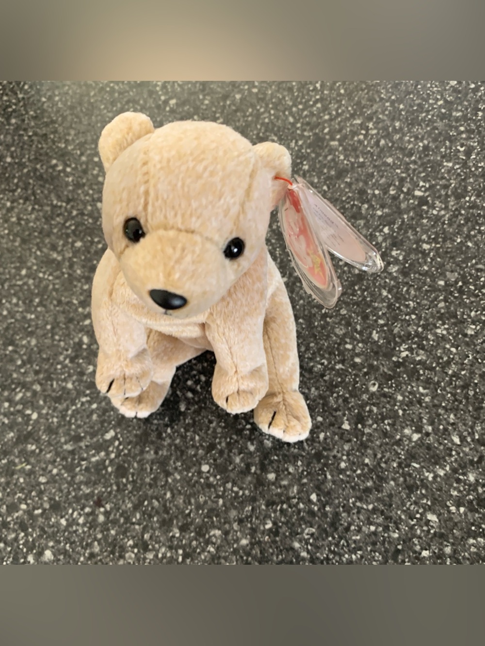 Ty Plush Beanie Baby Almond Bear